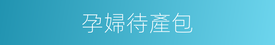 孕婦待產包的同義詞