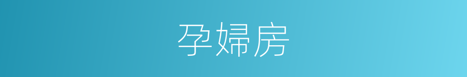 孕婦房的同義詞
