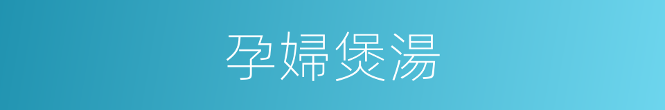 孕婦煲湯的同義詞
