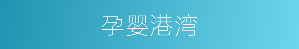 孕婴港湾的同义词