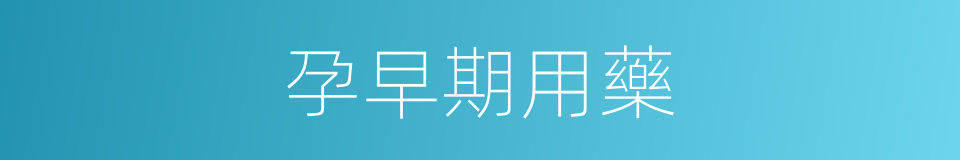 孕早期用藥的同義詞