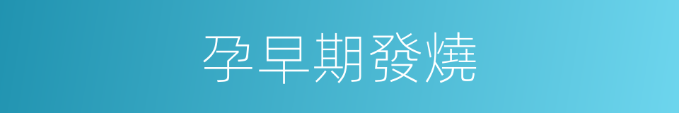 孕早期發燒的同義詞