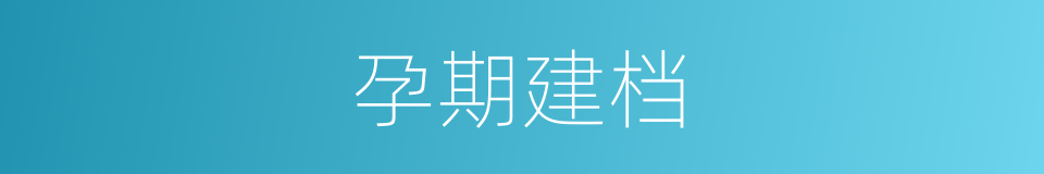 孕期建档的同义词