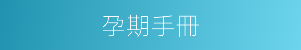 孕期手冊的同義詞