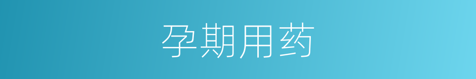 孕期用药的同义词