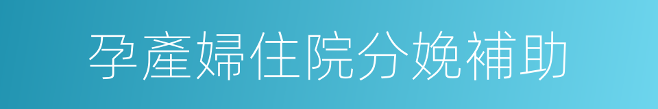 孕產婦住院分娩補助的同義詞