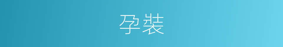 孕裝的同義詞