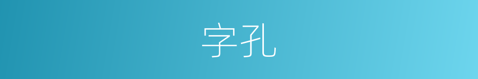 字孔的同义词