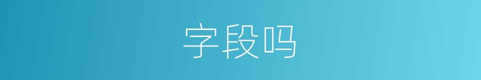 字段吗的意思