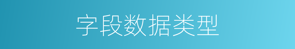 字段数据类型的同义词