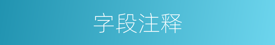 字段注释的意思