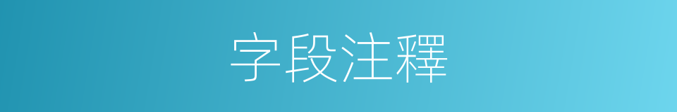 字段注釋的意思