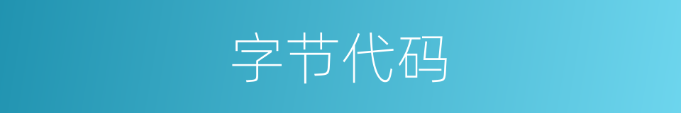 字节代码的同义词