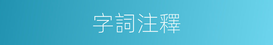 字詞注釋的意思