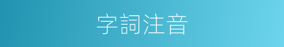 字詞注音的意思