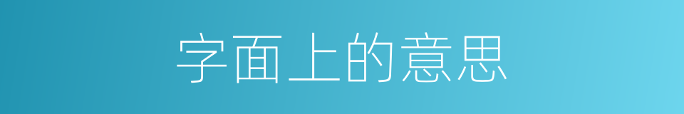 字面上的意思的同义词