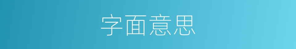 字面意思的意思