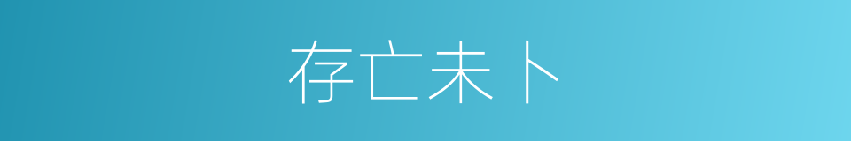 存亡未卜的意思