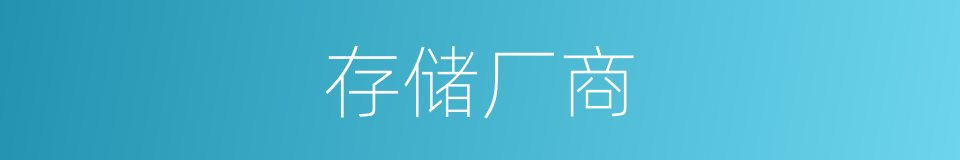 存储厂商的同义词