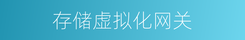 存储虚拟化网关的同义词