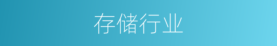 存储行业的同义词