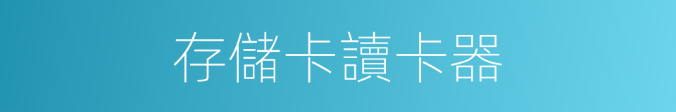 存儲卡讀卡器的同義詞