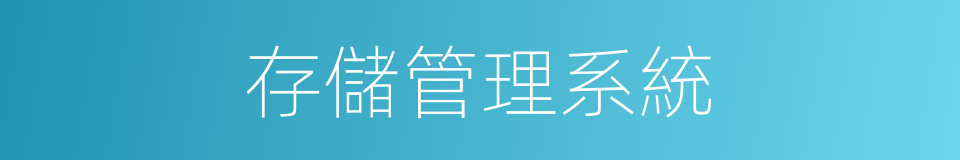 存儲管理系統的同義詞
