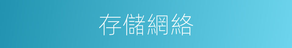 存儲網絡的同義詞