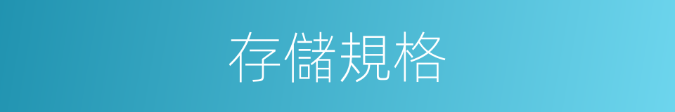 存儲規格的同義詞