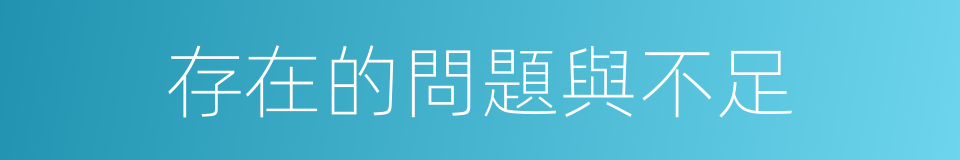 存在的問題與不足的同義詞