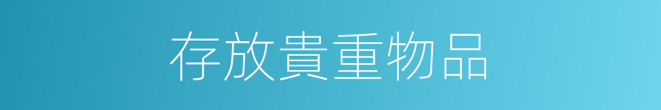 存放貴重物品的同義詞