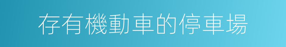 存有機動車的停車場的同義詞