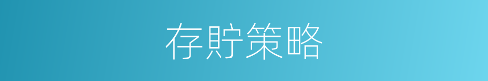 存貯策略的同義詞