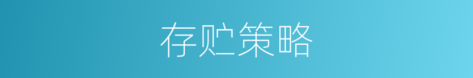 存贮策略的同义词