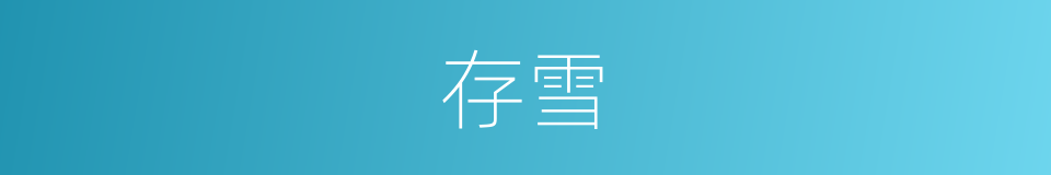 存雪的同义词