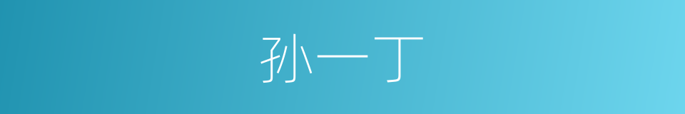 孙一丁的同义词