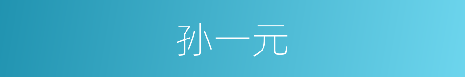 孙一元的同义词