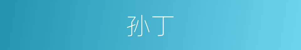 孙丁的同义词
