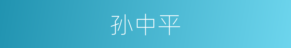 孙中平的同义词