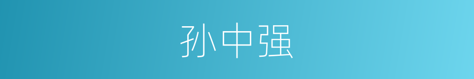 孙中强的同义词