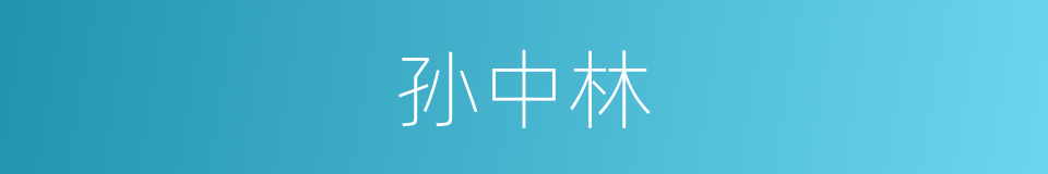 孙中林的同义词