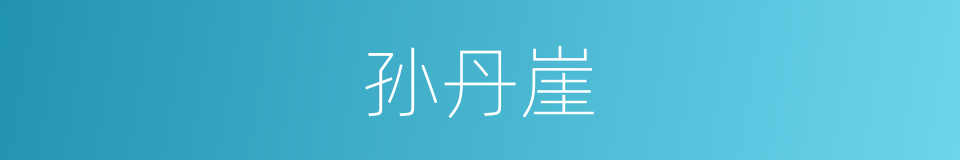 孙丹崖的同义词