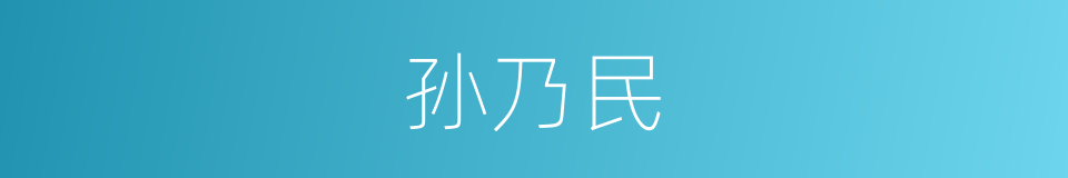 孙乃民的同义词