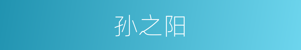 孙之阳的同义词