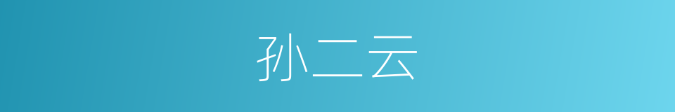 孙二云的同义词
