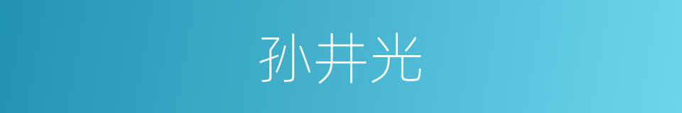 孙井光的同义词