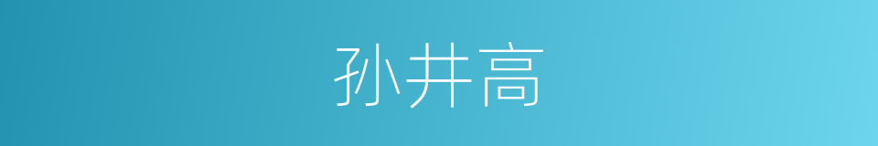 孙井高的同义词