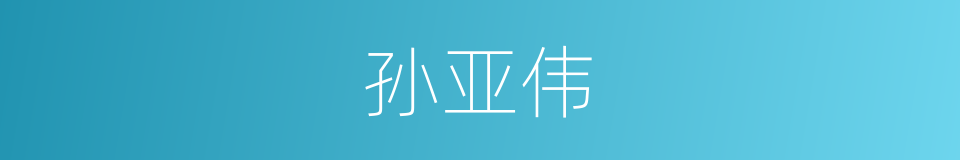 孙亚伟的同义词