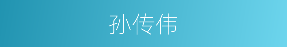 孙传伟的同义词