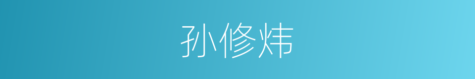 孙修炜的同义词